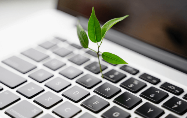 Leaf on top of laptop